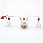 Kit for Demonstrating CO2 Emission and Heat Production in Germinating Seeds